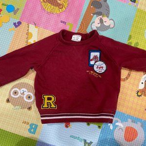 Zara Baby Pullover Sweater 9-12M
